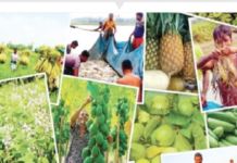 বাংলাদেশের অর্থনীতিতে কৃষি -এর গুরুত্ব বাংলাদেশের অর্থনীতিতে কৃষি