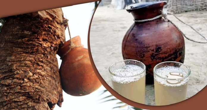 খেজুরের কাঁচা রস, নিপাহ ভাইরাস,