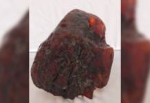 অবহেলায় পড়ে থাকা ‘ডোরস্টপ’ পাথরের দাম ৮ কোটি টাকা! ‘ডোরস্টপ’ পাথরের দাম