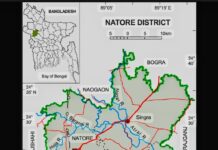 বিএনপির প্রার্থী ঘোষণায় নাটোরে নিজ দলে বিভাজন, আমজনতা আতঙ্কগ্রস্থ!